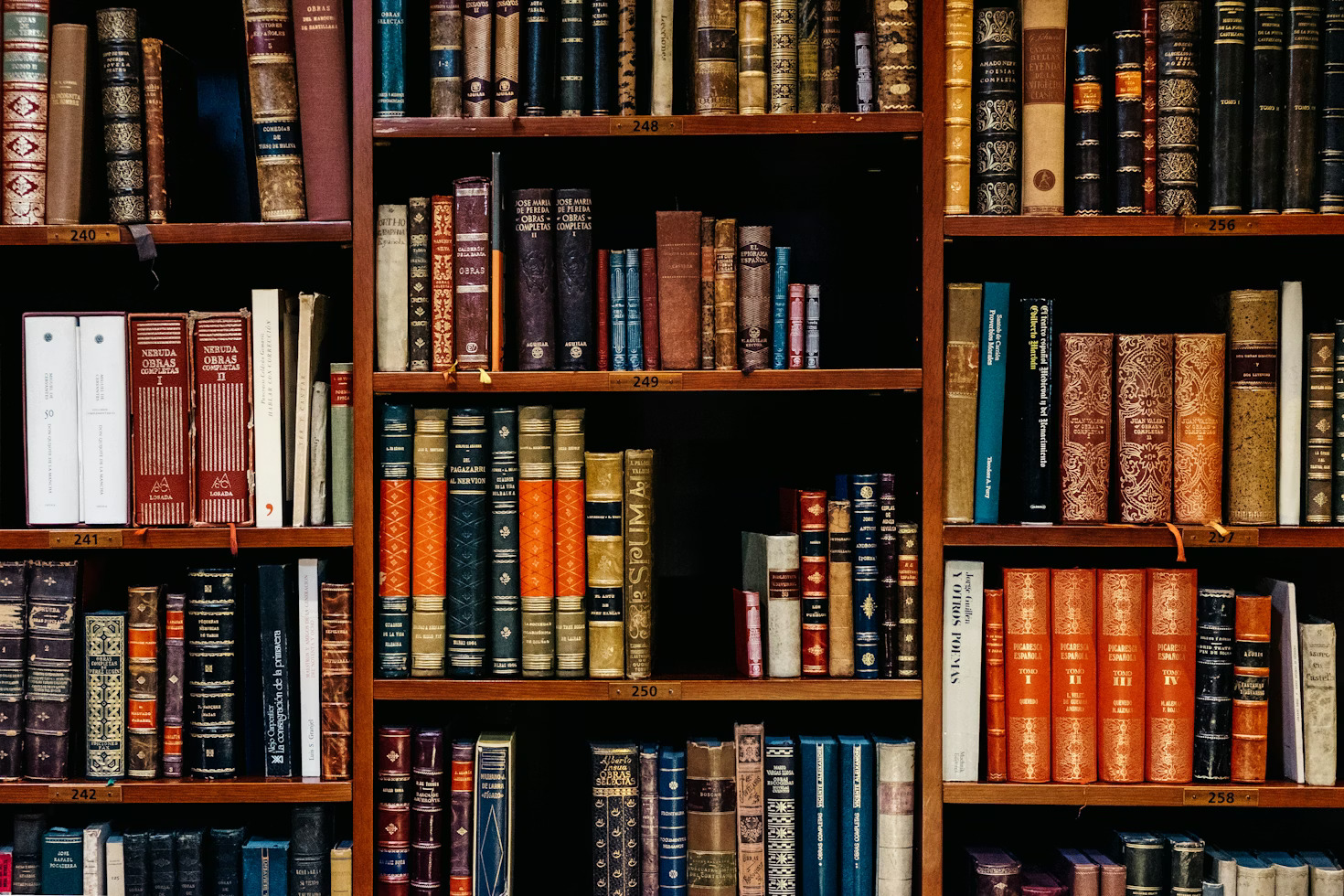 Device Regulatory Affairs